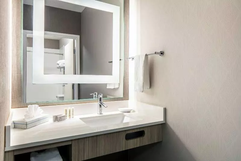 سوئیت با تخت بزرگ, Springhill Suites By Marriott Tulsa
