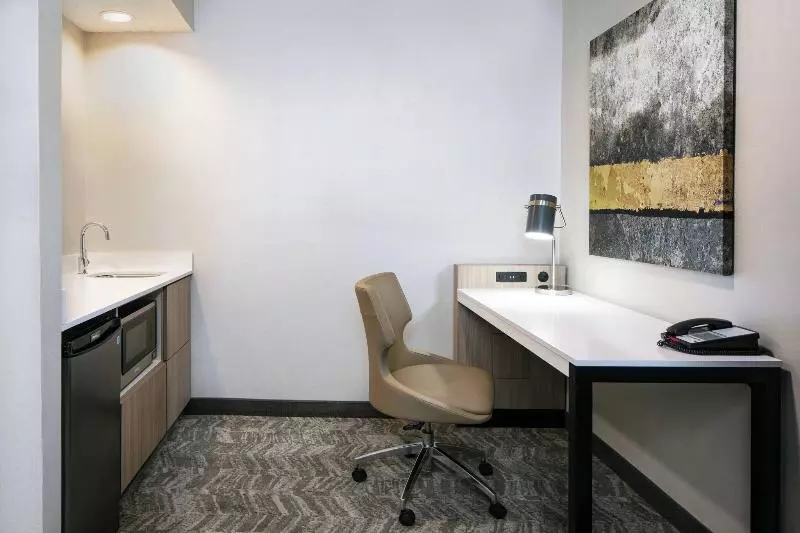سوئیت با تخت بزرگ, Springhill Suites By Marriott Tulsa