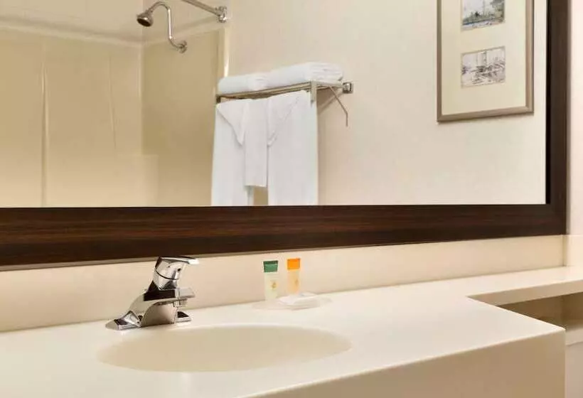 اتاق استاندارد, Travelodge By Wyndham North Bay Lakeshore