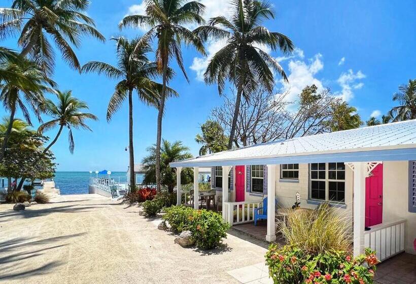 إستوديو قياسى سرير مزدوج, Pines & Palms Resort