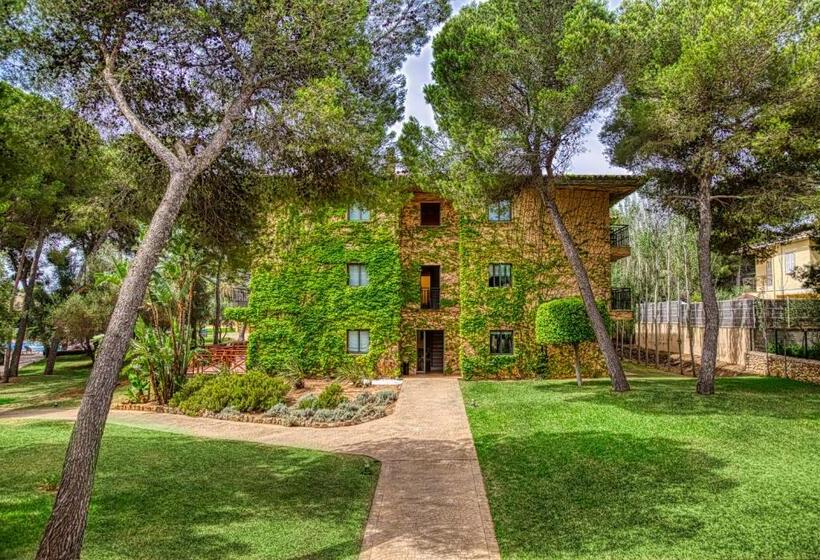 استودیوی استاندارد, Vell Mari Hotel & Resort