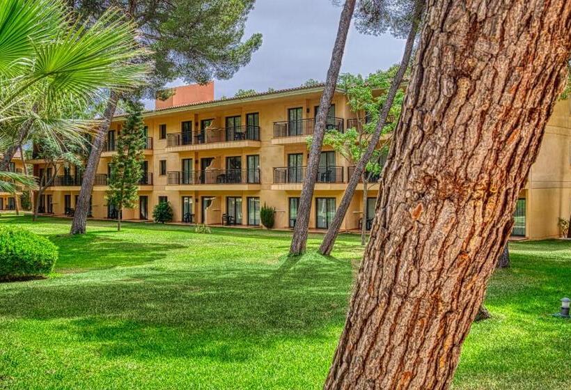 استودیوی استاندارد, Vell Mari Hotel & Resort