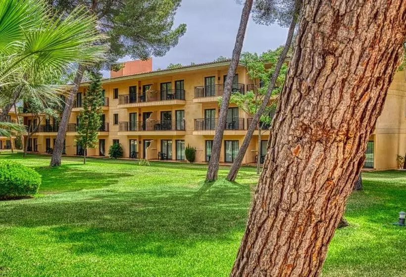 استودیوی استاندارد, Vell Mari Hotel & Resort