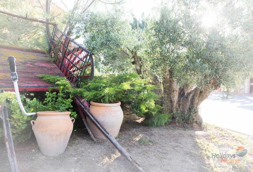 غرفة قياسية, Holidays Mirana