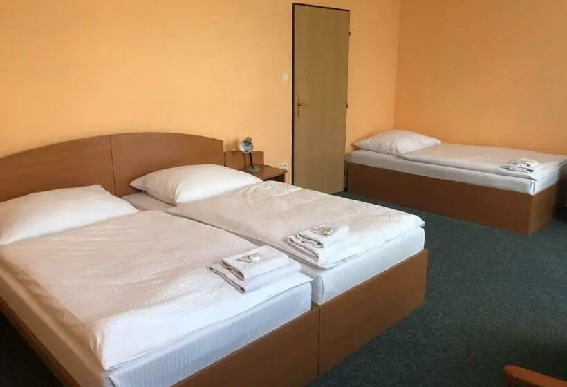 スタンダードトリプルルーム, Grandhotel Nový Bor
