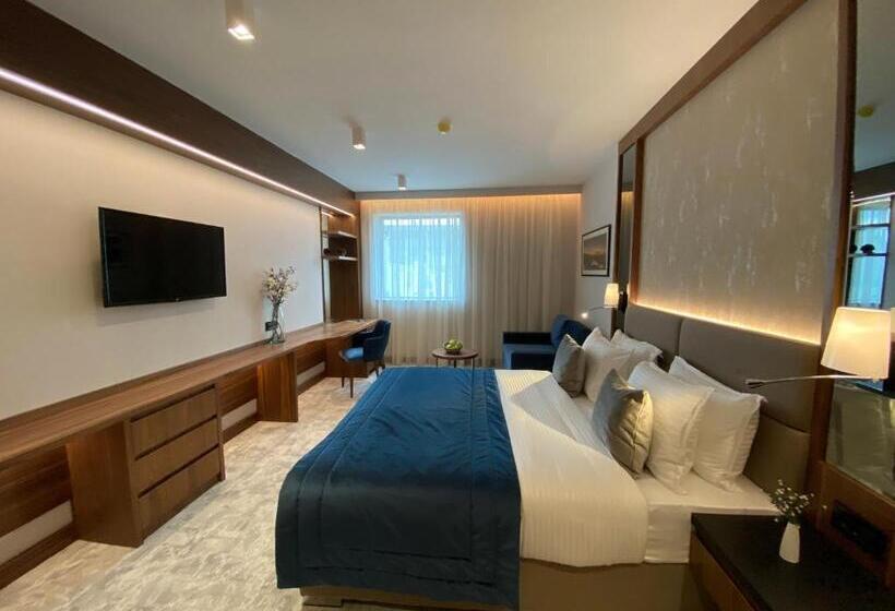 اتاق سوپریور با تخت بزرگ, Central Point Hotel Beograd