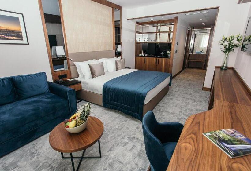 اتاق سوپریور با تخت بزرگ, Central Point Hotel Beograd