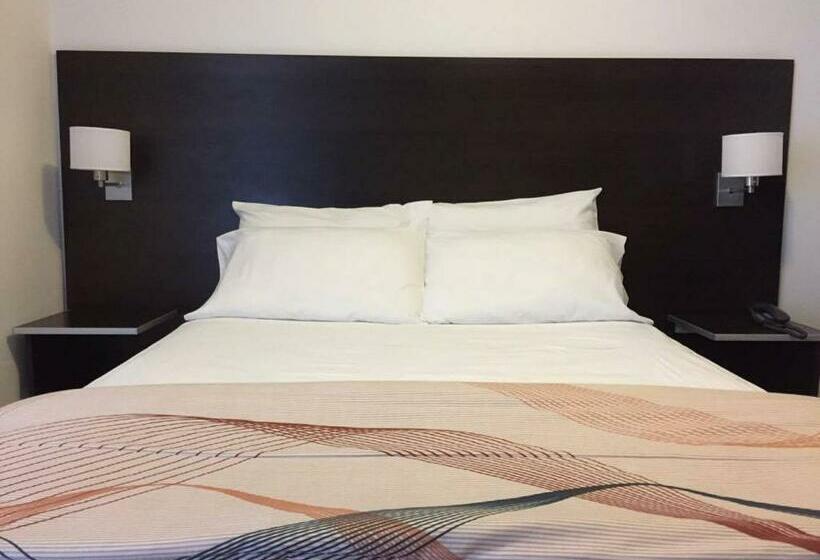 스탠다드 룸, Don Hotel Chivilcoy