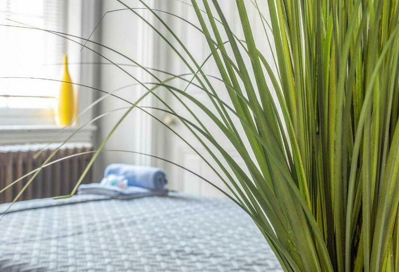 经济房, Philly Coed Dorm!! 15 Min Train To Center City!!