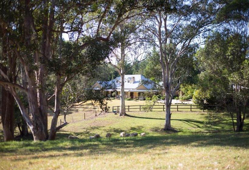 스위트, The Willows At Kurrajong