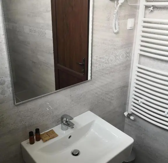 اتاق استاندارد با تخت بزرگ, Pensiunea Casa Hortopan