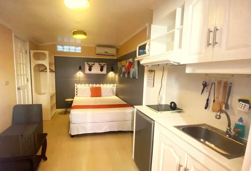 استودیوی استاندارد, Little Norway Guesthouse   Mactan Cebu International Airport