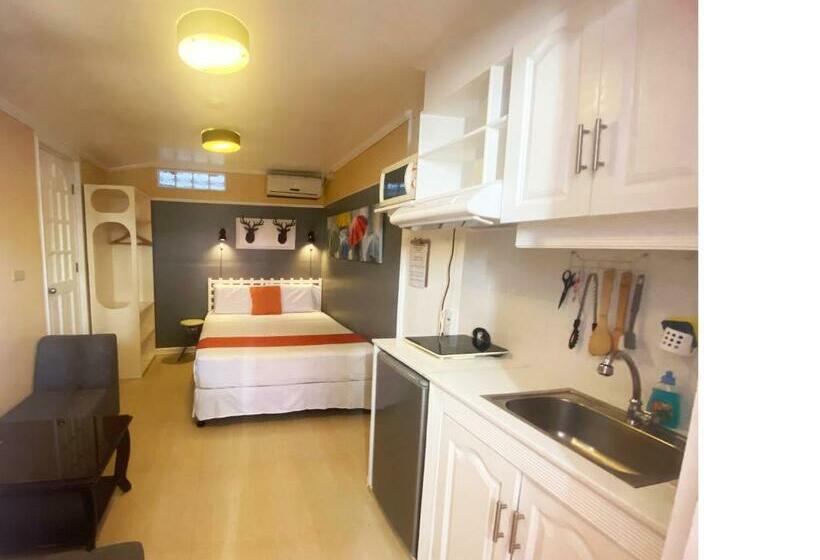 استودیوی استاندارد, Little Norway Guesthouse   Mactan Cebu International Airport