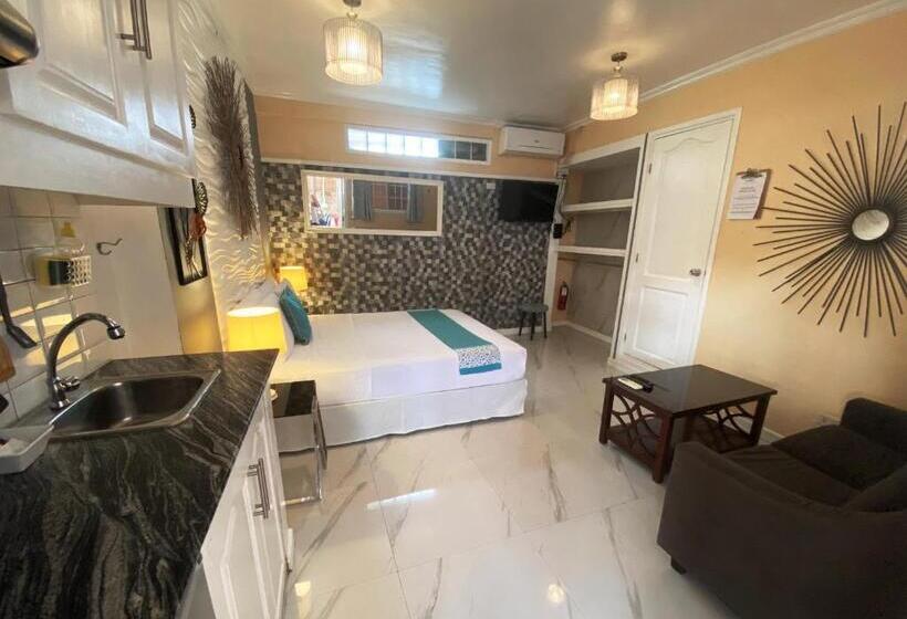 استودیوی استاندارد, Little Norway Guesthouse   Mactan Cebu International Airport