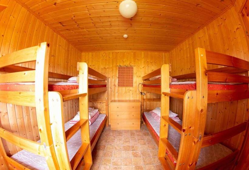 חדר קלאסי לארבעה, Hankaniemen Tila