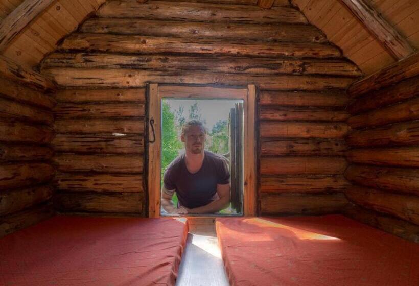 בקתה סטנדרטית, Hankaniemen Tila