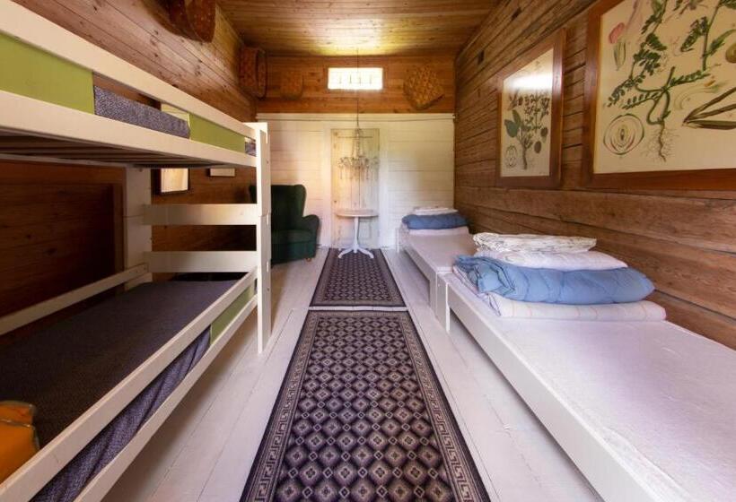 חדר דלוקס לארבעה, Hankaniemen Tila