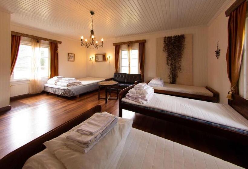 חדר דלוקס לארבעה, Hankaniemen Tila