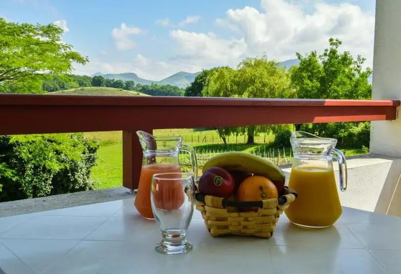 テラス付きスタンダードルーム, Restaurant Baratxartea