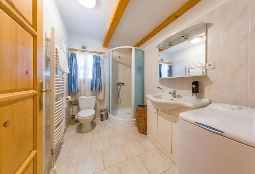 １ベッドルームアパートメント, Valašské Chalupy Resort