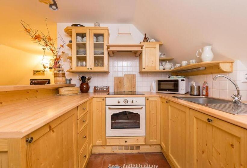 آپارتمان دوبلکس 1 خوابه, Valašské Chalupy Resort