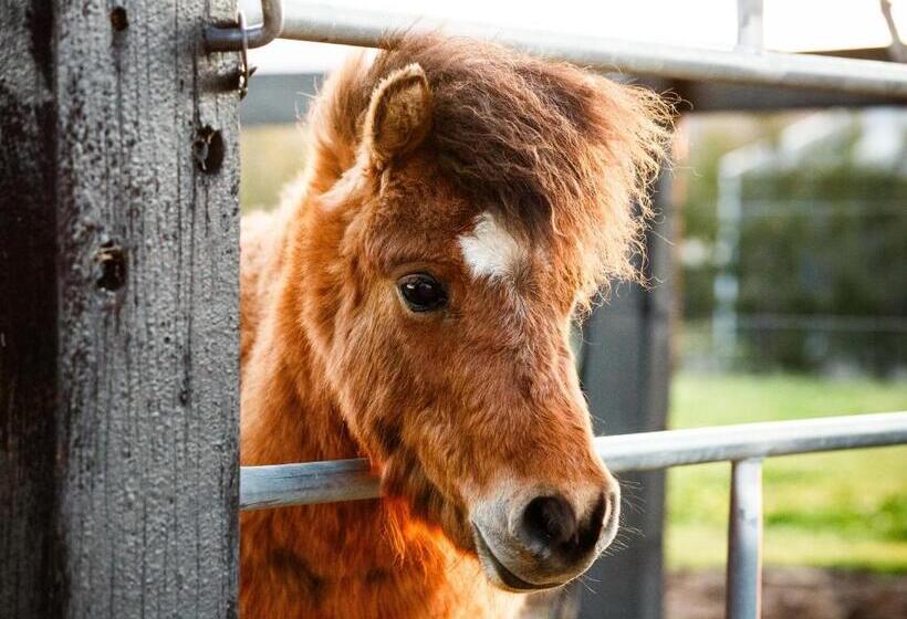 Дом 1 Спальня, Argentille Boutique Accommodation