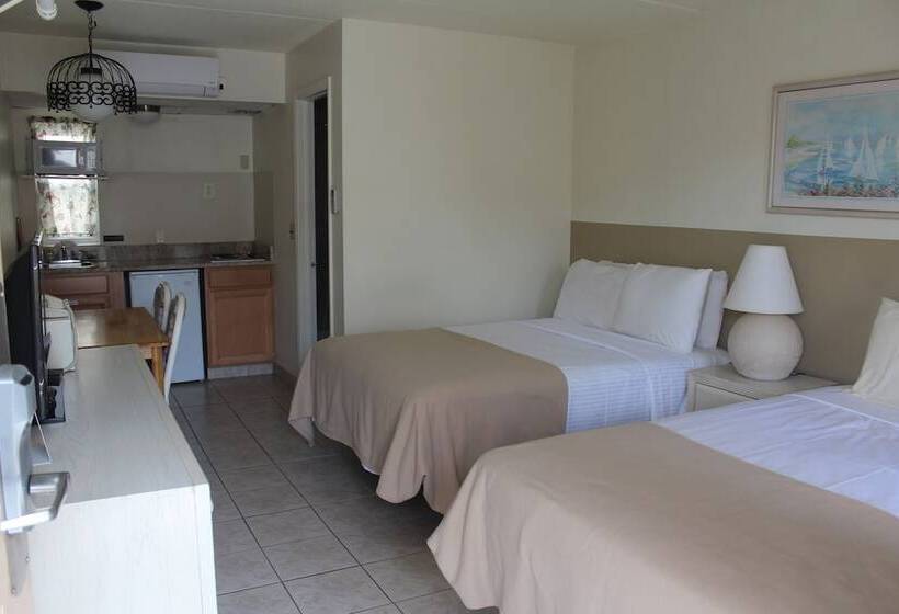 스탠다드 룸 풀장 전망, Condor Motel   Beach Block