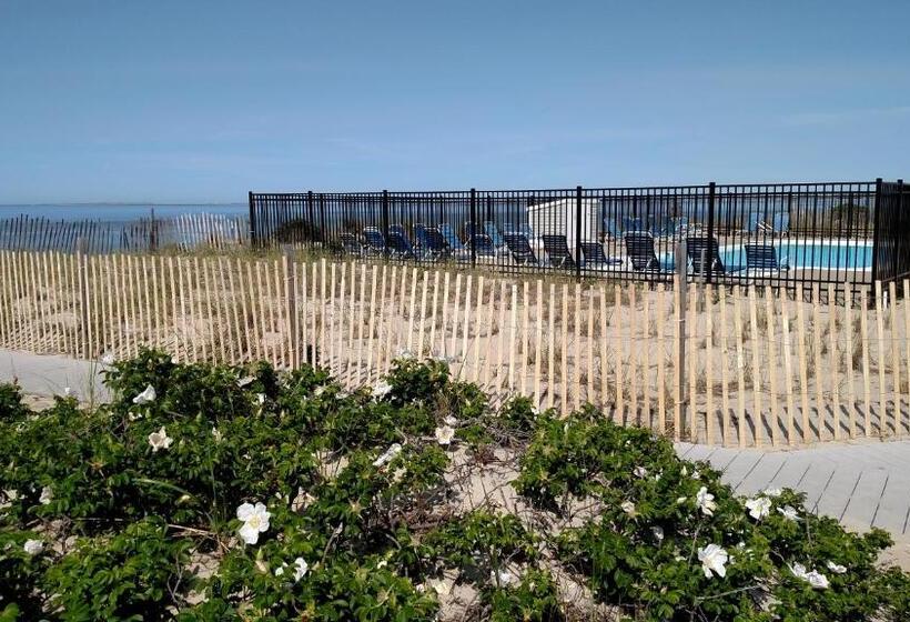 شقة غرفتين, Horizons Beach Resort