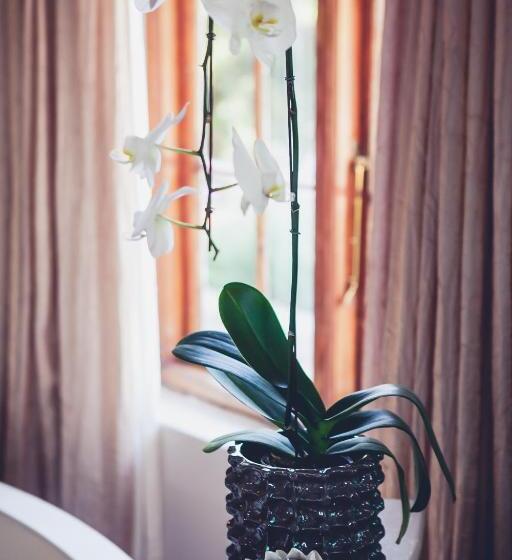 キングサイズベッドのスタンダードルーム, Station House Simondium