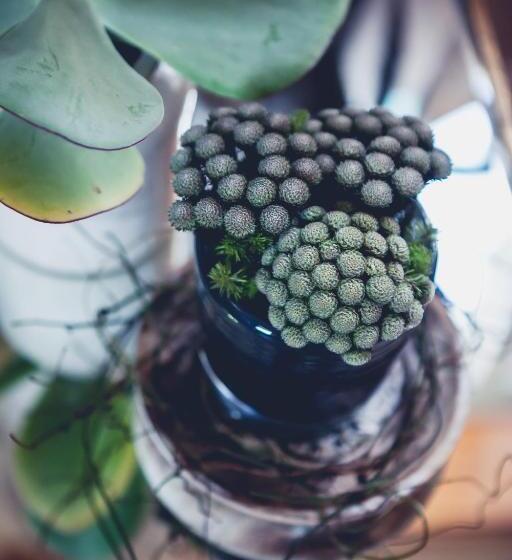 テラス付きスタンダードルーム, Station House Simondium