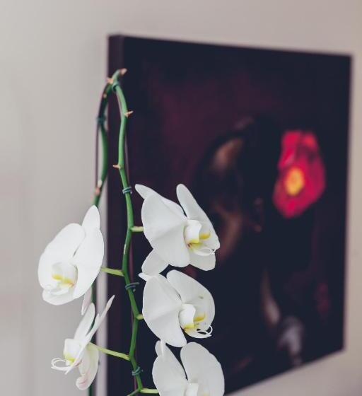 テラス付きスタンダードルーム, Station House Simondium