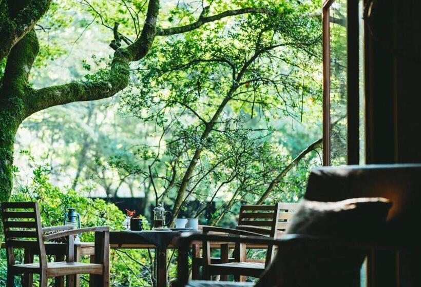 デラックススイート, Hakone Retreat Villa 1/f