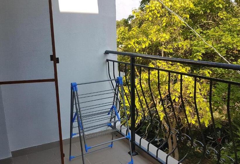 דירת חדר, Venus Mioara