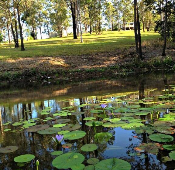 Студия Deluxe, Melawondi Spring Retreat