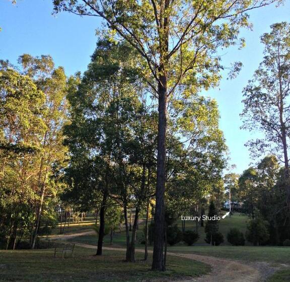 Студия Deluxe, Melawondi Spring Retreat