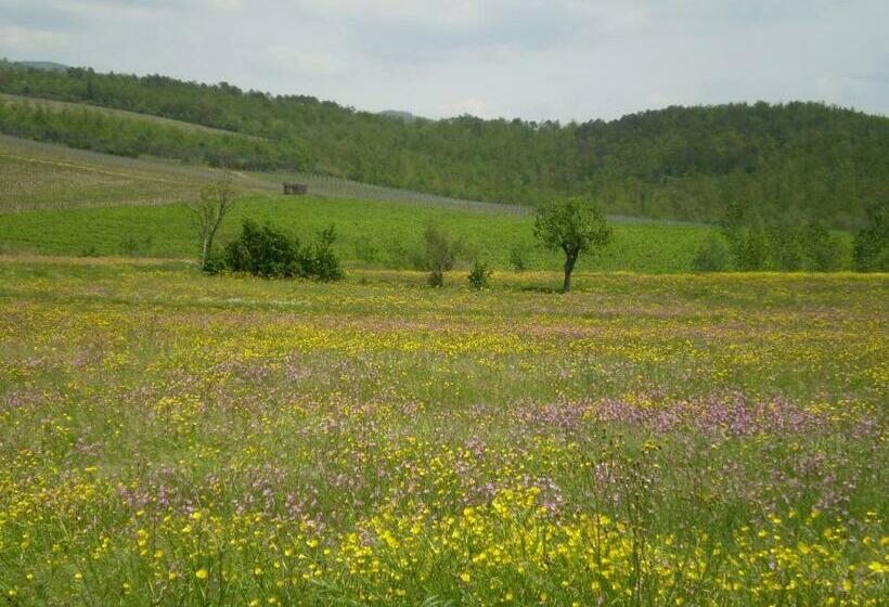 استودیوی استاندارد, Chiardiluna