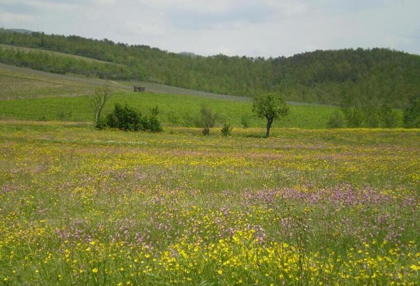 اتاق استاندارد, Chiardiluna