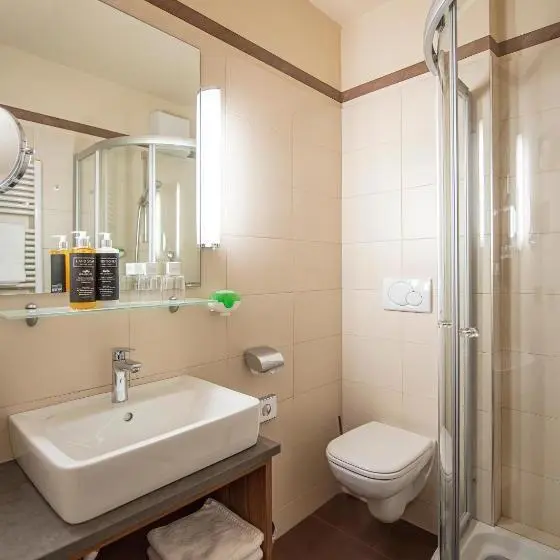 スタンダードルーム, Vitalpina Hotel Waldhof