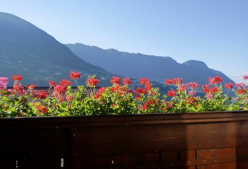 带1个卧室带观景的公寓, Appartments Innerhofer