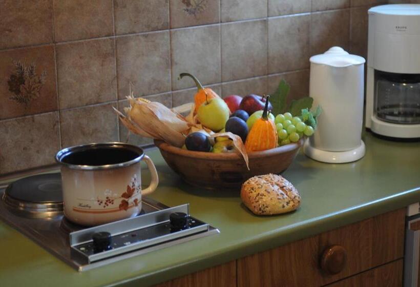 带1个卧室带观景的公寓, Appartments Innerhofer