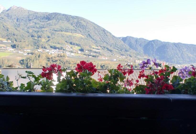 带1个卧室的高级公寓, Appartments Innerhofer