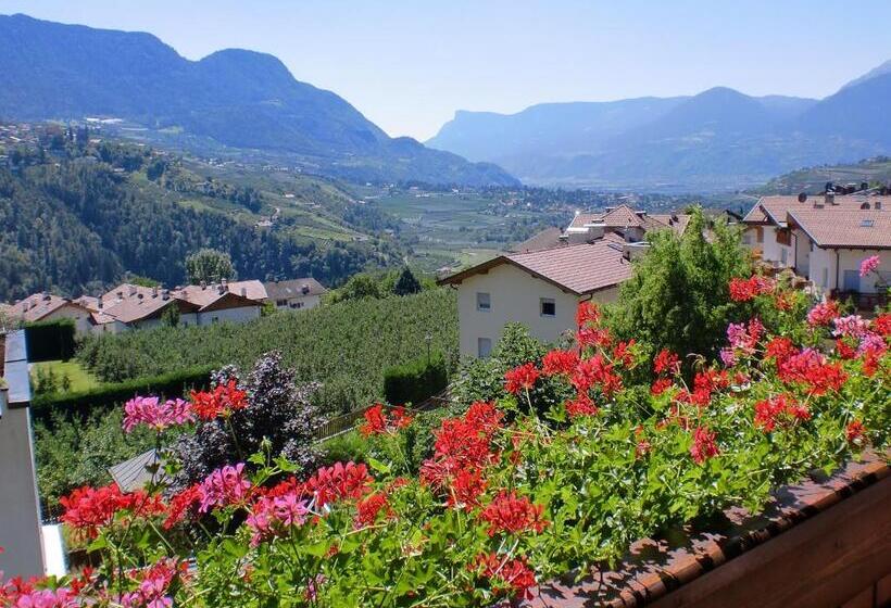 带1个卧室带观景的公寓, Appartments Innerhofer