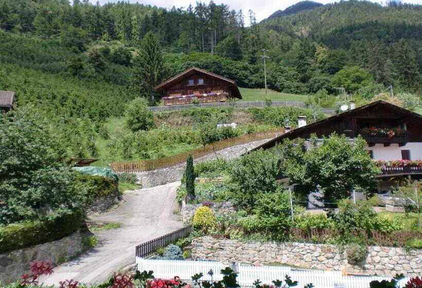 带1个卧室的公寓, Appartments Innerhofer