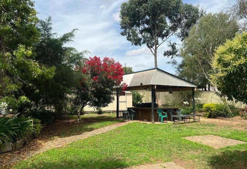 דירת שני חדרים, Executive Hideaway