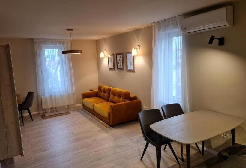 شقة سوبريور غرفة واحدة, Casa La Fayette