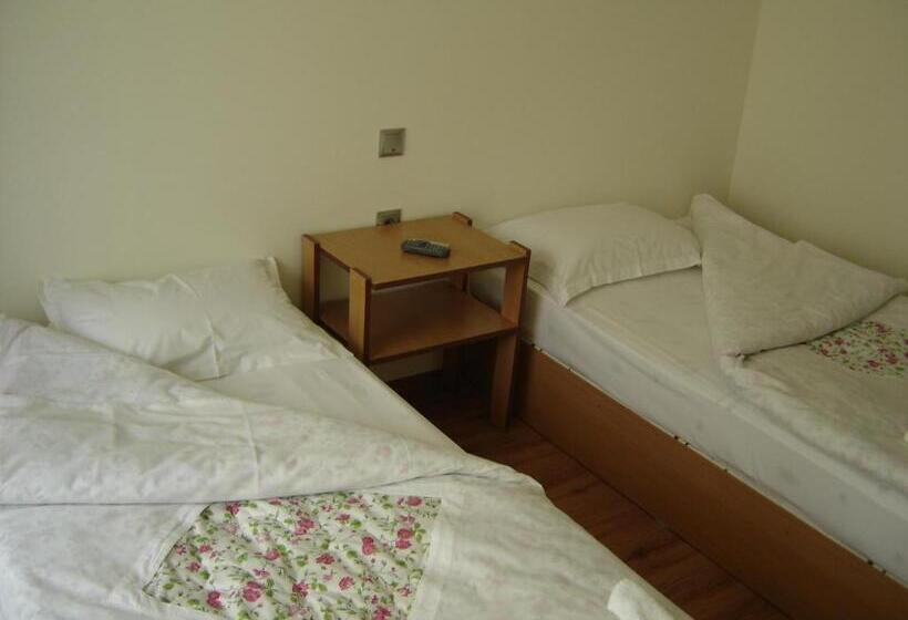 Номер Стандарт с Балконом, Central Park Family