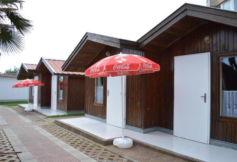 スタンダードバンガロー, Zafo