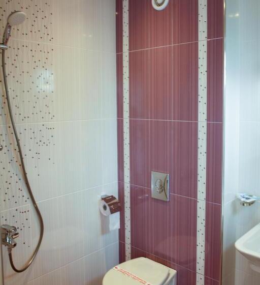 １ベッドルームハウス, Zafo