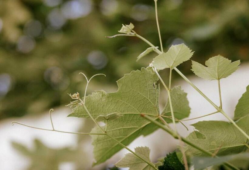 חדר סטנדרט, Vitalpina Hotel Schulerhof
