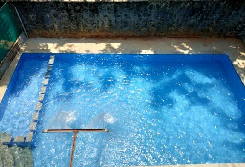 اتاق لوکس, Pavisha Farm House Swimming Pool
